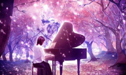 唯美视频,唯美视频中的诗意画卷